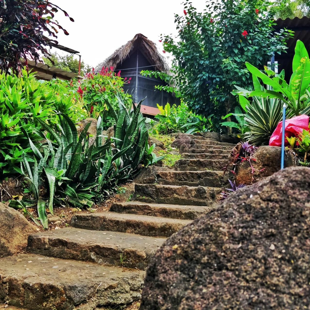 Finca Del Sol Eco Lodge Santa Cruz Eksteriør billede